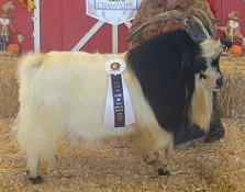 Fall Over Farms Don't Know